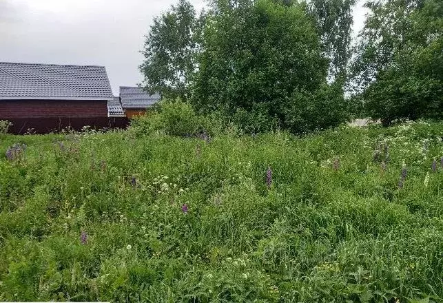 Участок в Московская область, Дмитровский муниципальный округ, ... - Фото 1