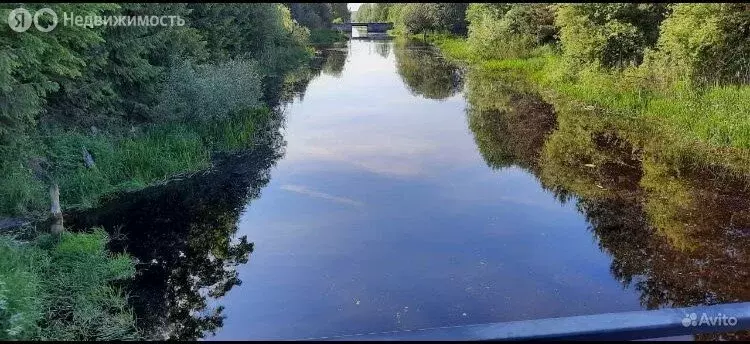 Дом в Приладожское городское поселение, деревня Назия, улица ... - Фото 0