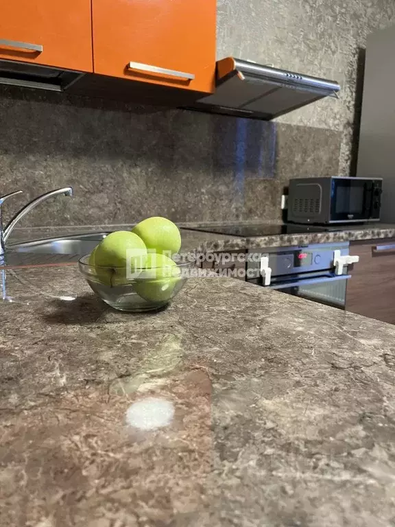 2-к кв. Санкт-Петербург, Санкт-Петербург, Петергоф ул. Парковая, 14к2 ... - Фото 1