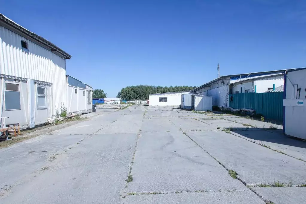 Участок в Тюменская область, Тобольский муниципальный округ, ... - Фото 1