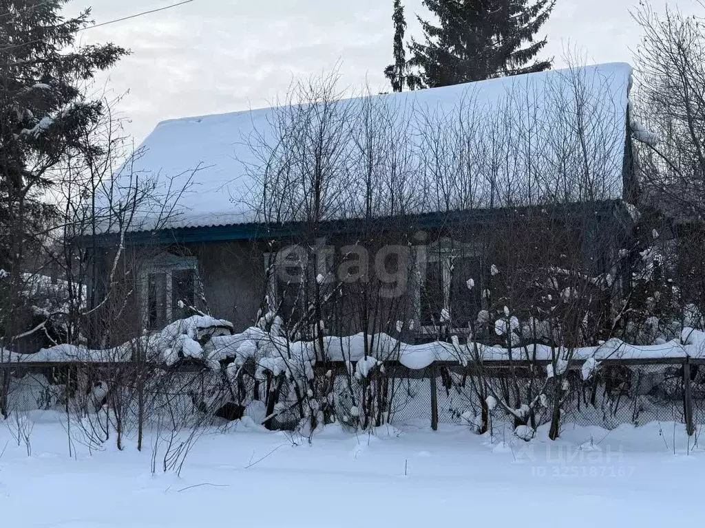 Дом в Курганская область, Каргапольский муниципальный округ, Красный ... - Фото 1