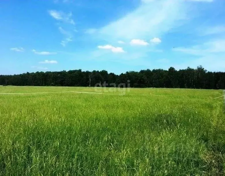 Участок в Хабаровский край, Ванино рп, Радуга - Ванино СНТ 3 (199.5 ... - Фото 1