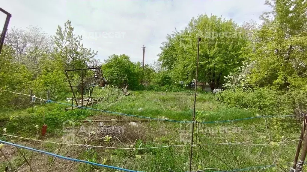 Участок в Волгоградская область, Волгоград Мичуринец СНТ, 11 (5.1 ... - Фото 0