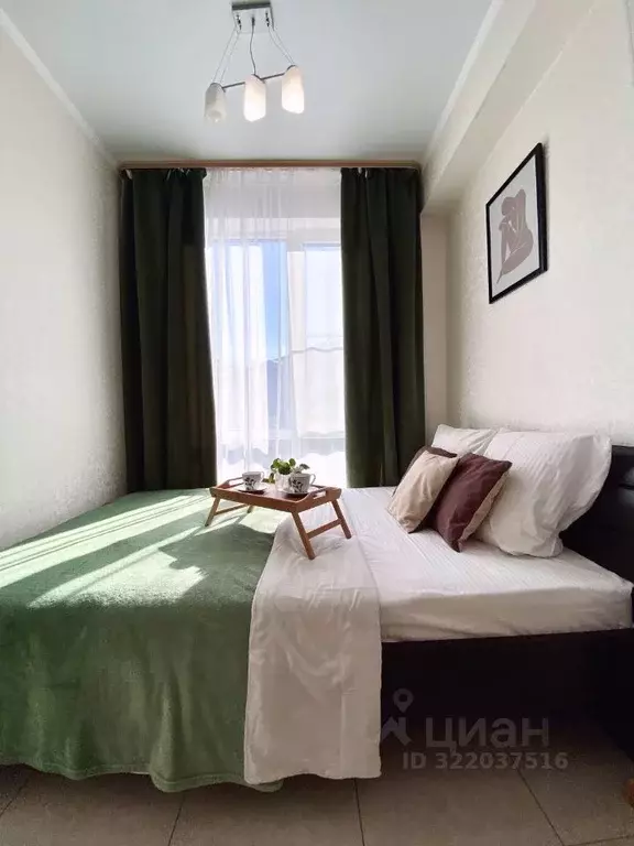 Студия Краснодарский край, Сочи Мамайка мкр,  (33.0 м) - Фото 2