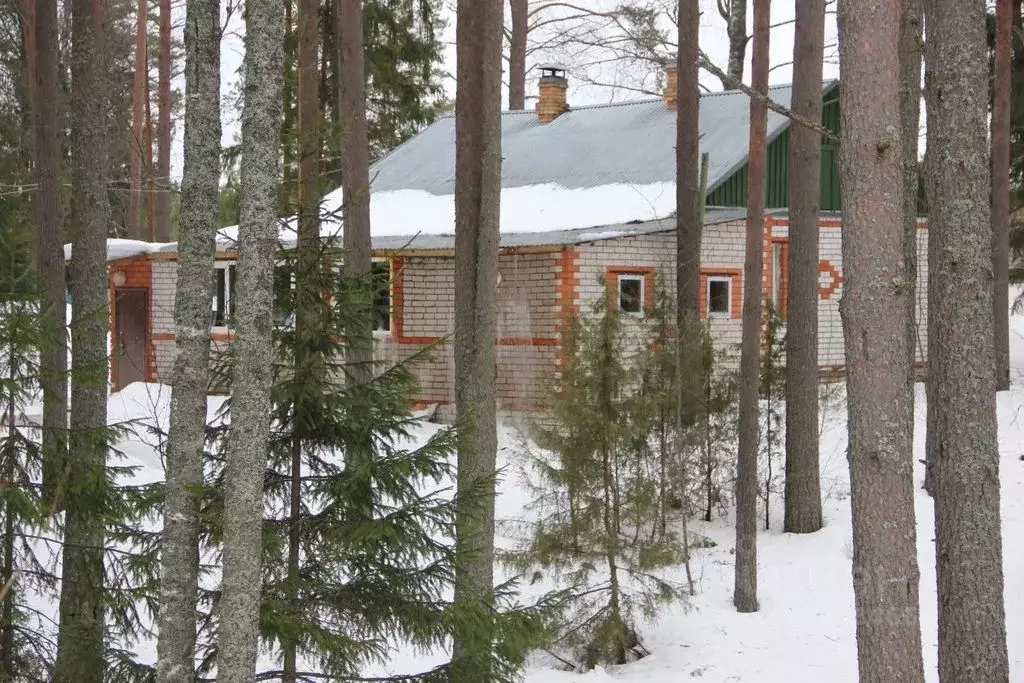 Дом в Тверская область, Андреапольский район, д. Стеклино 35 (73 м) - Фото 1