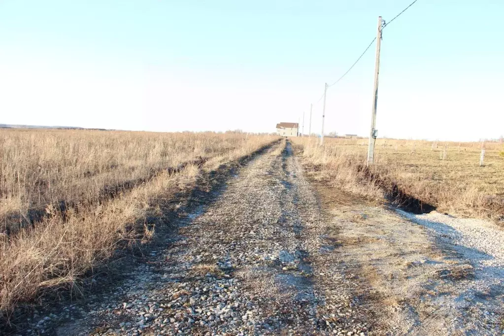 Участок в Тульская область, Заокский район, Демидовское с/пос, с. ... - Фото 2