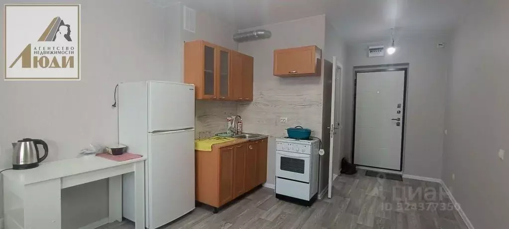 Студия Новосибирская область, Новосибирский район, с. Криводановка ул. ... - Фото 2