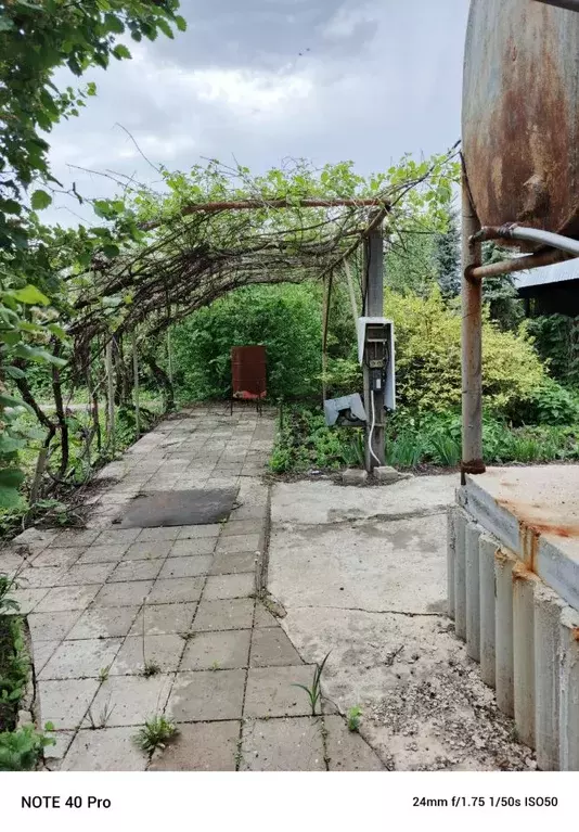 Участок в Оренбургская область, Оренбургский район, Нежинский ... - Фото 2