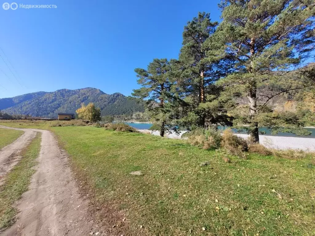 Участок в село Чемал, Прикатунская улица (10 м) - Фото 1