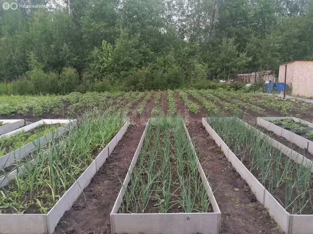 Дом в село Горьковка, Зелёная улица (123 м) - Фото 2