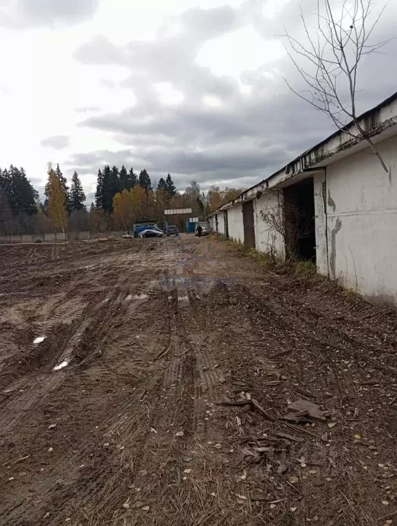 Производственное помещение в Московская область, Рузский муниципальный ... - Фото 1
