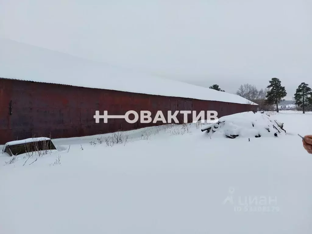 Производственное помещение в Новосибирская область, Мошковский район, ... - Фото 0