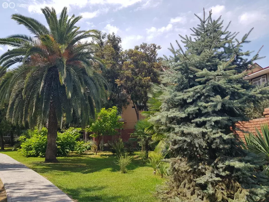 Участок в Сочи, микрорайон Центральный (10 м) - Фото 0