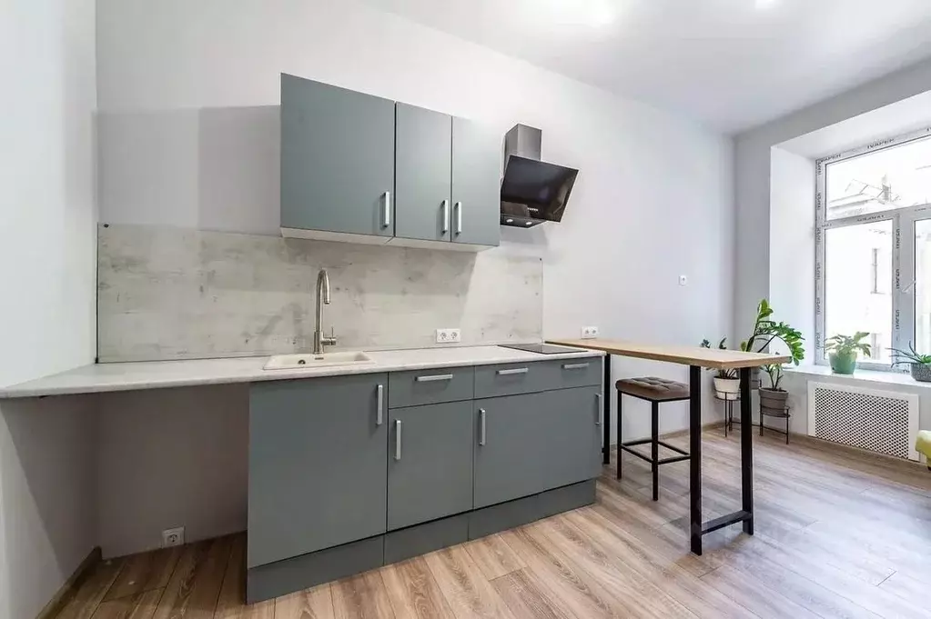 Студия Санкт-Петербург 4-я Красноармейская ул., 2/35 (14.0 м) - Фото 1