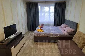 1-к кв. Мурманская область, Мурманск ул. Академика Книповича, 44 (36.0 ... - Фото 1