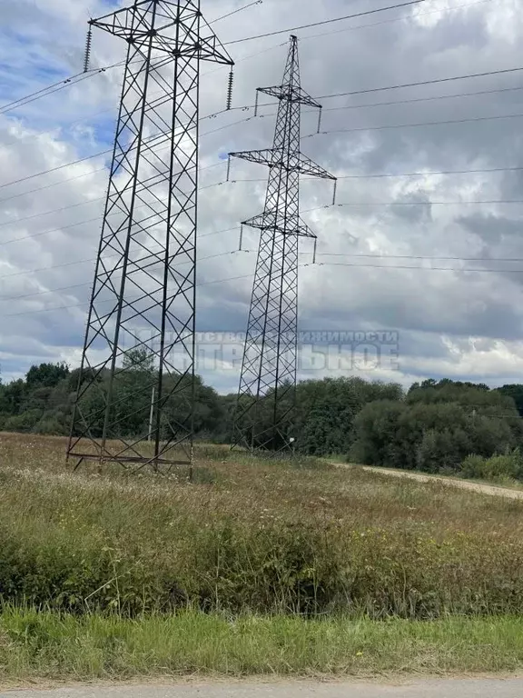 Участок в Смоленская область, Смоленский муниципальный округ, д. ... - Фото 2