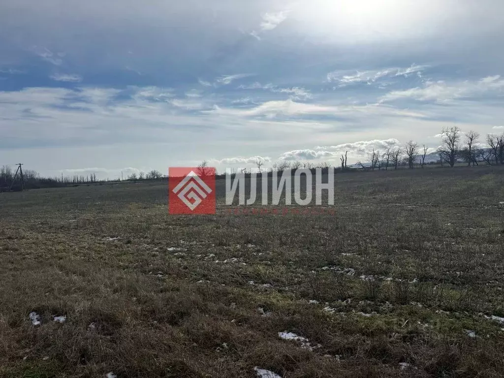 Участок в Крым, Сакский район, Суворовское с/пос, с. Желтокаменка  ... - Фото 2