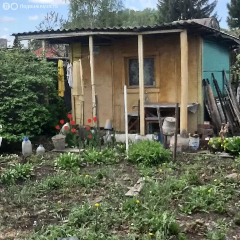 Дом в Омск, территория СОСН Биолог, 488 (10 м) - Фото 1