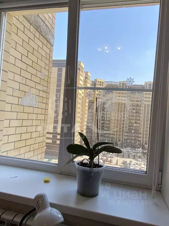 3-к кв. Воронежская область, Воронеж Троицкий кв-л, Олимпийский ... - Фото 2