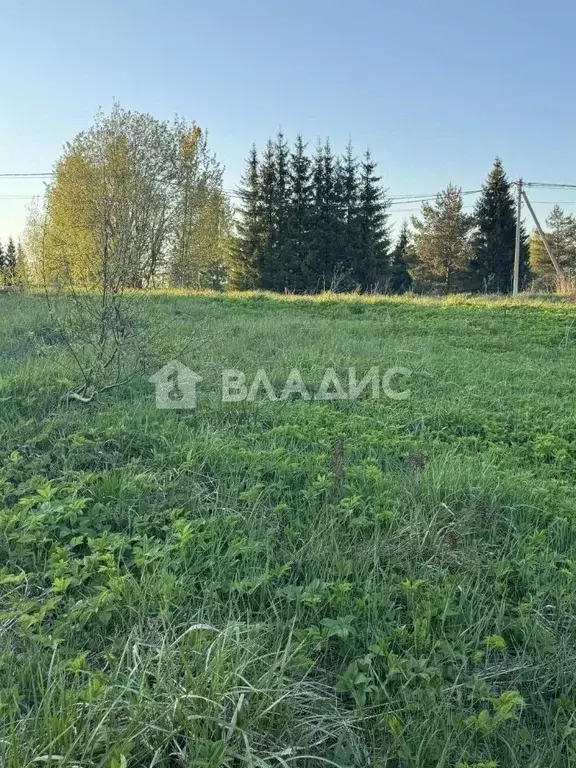 Участок в Ленинградская область, Всеволожский район, Бугровское ... - Фото 1