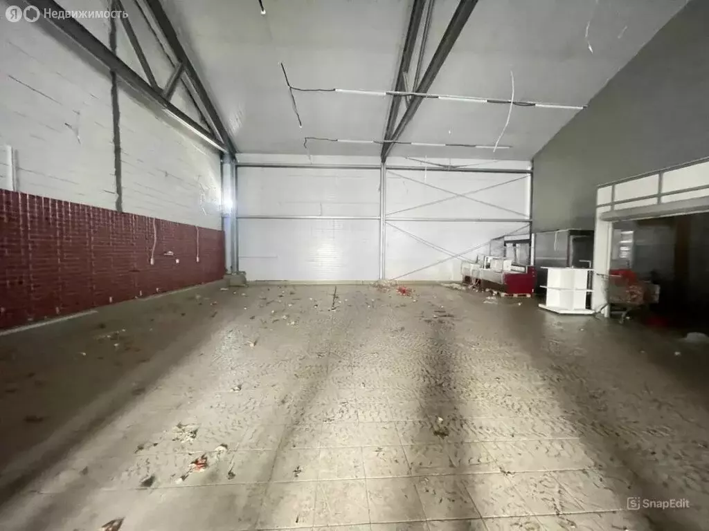 Помещение свободного назначения (250 м) - Фото 1