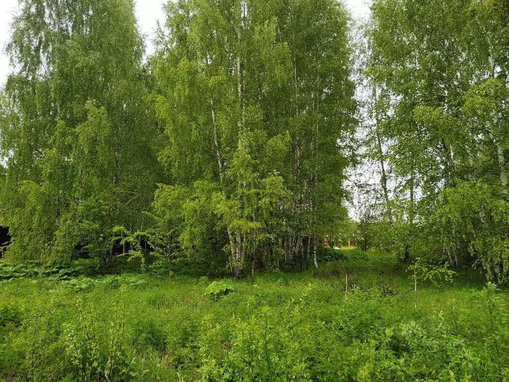 Участок, 15 сот., сельхоз (снт или днп) - Фото 2