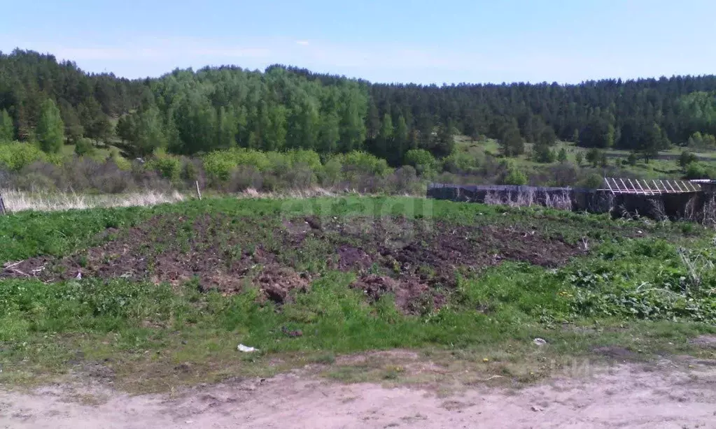 Участок в Красноярский край, Емельяновский муниципальный округ, с. ... - Фото 1