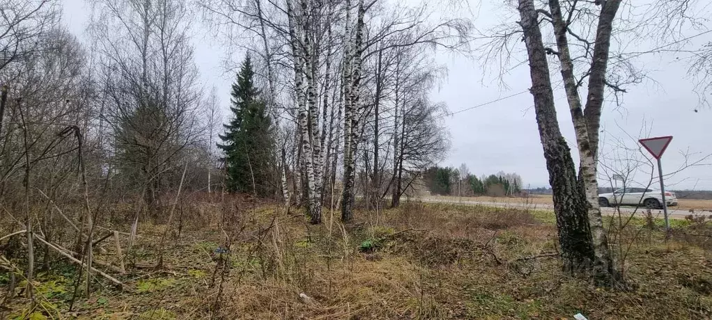 Участок в Московская область, Наро-Фоминский городской округ, д. ... - Фото 1