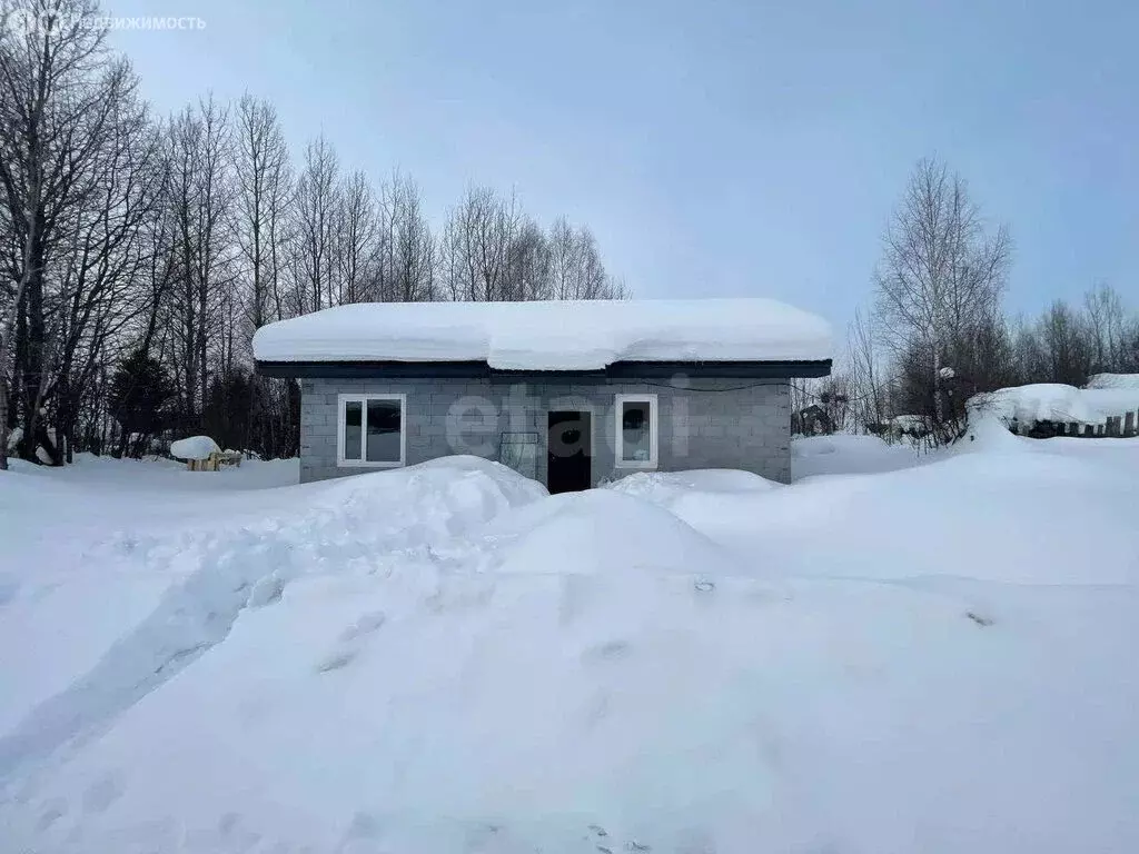 Дом в Пермь, Хохловская улица (78 м) - Фото 2