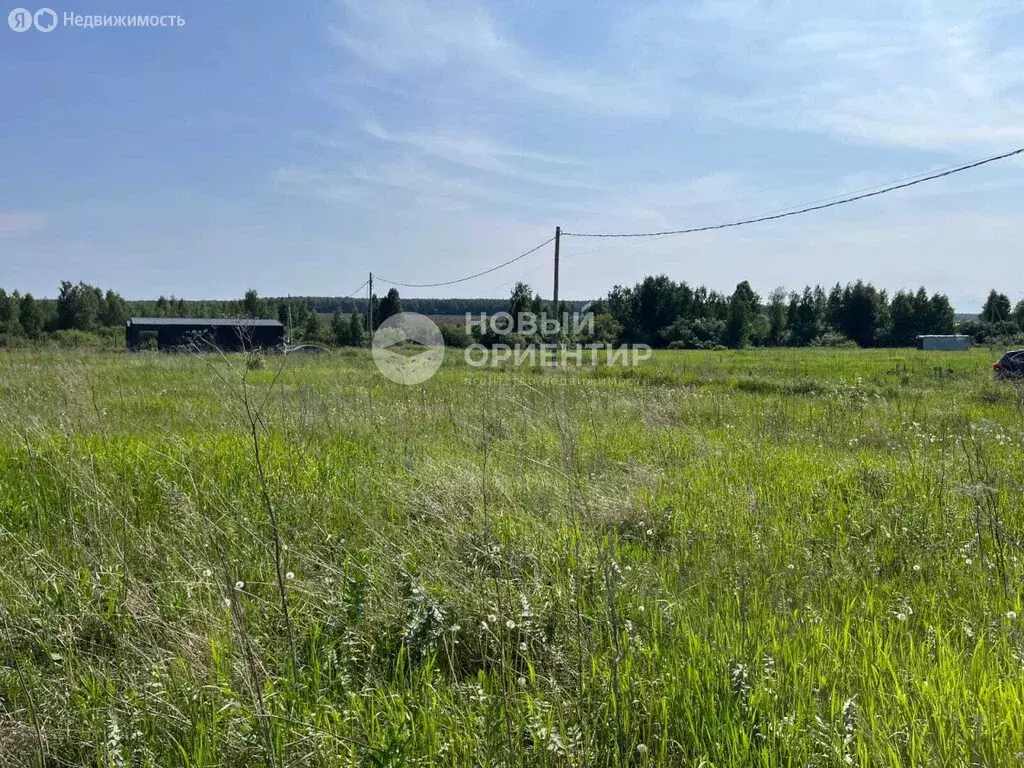 Участок в Свердловская область, Белоярский муниципальный округ, ... - Фото 1