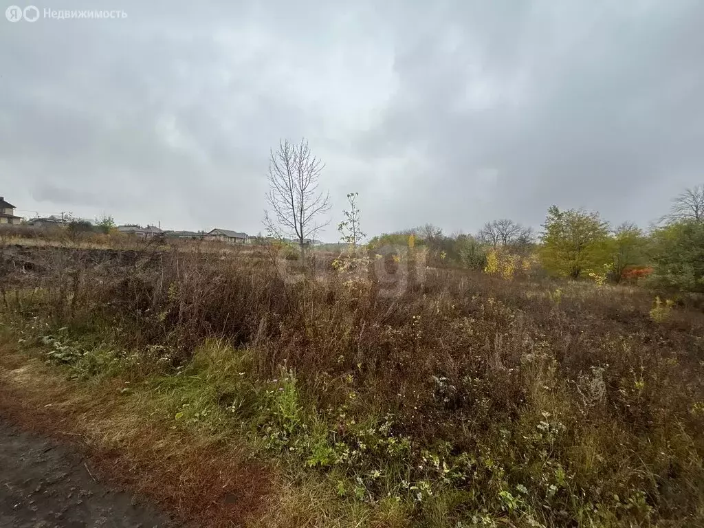 Участок в Репное, 2-я Центральная улица (26.2 м) - Фото 2