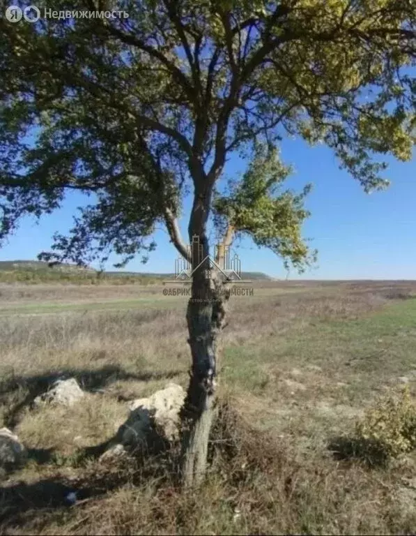 Участок в Бахчисарайский район, село Ароматное (2100 м) - Фото 2