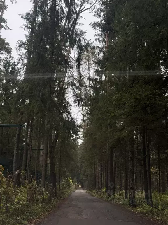 Участок в Московская область, Одинцовский городской округ, ... - Фото 1