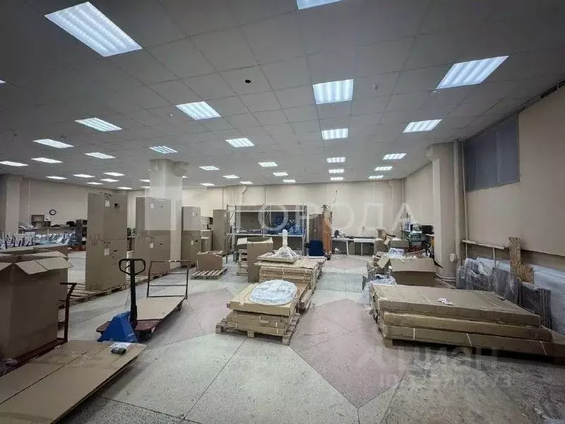 Помещение свободного назначения в Новосибирская область, Новосибирск ... - Фото 2