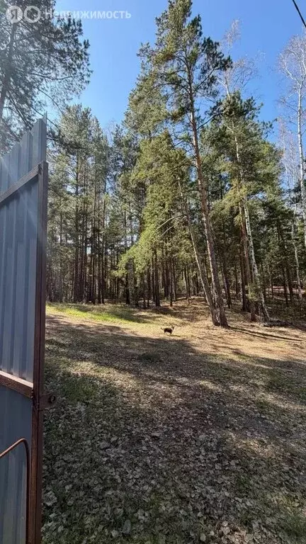 Участок в Карабашский городской округ, посёлок Красный Камень, 11 ... - Фото 1