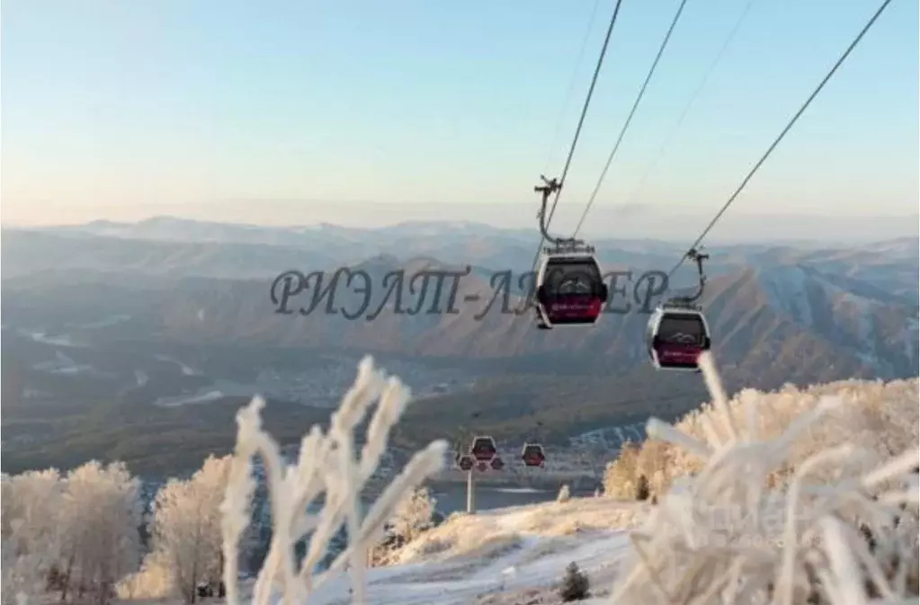 Участок в Алтай, Майминский район, Манжерокское с/пос, с. Озерное ул. ... - Фото 2