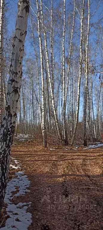 Участок в Челябинская область, Аргаяшский район, Дербишевское с/пос, ... - Фото 1