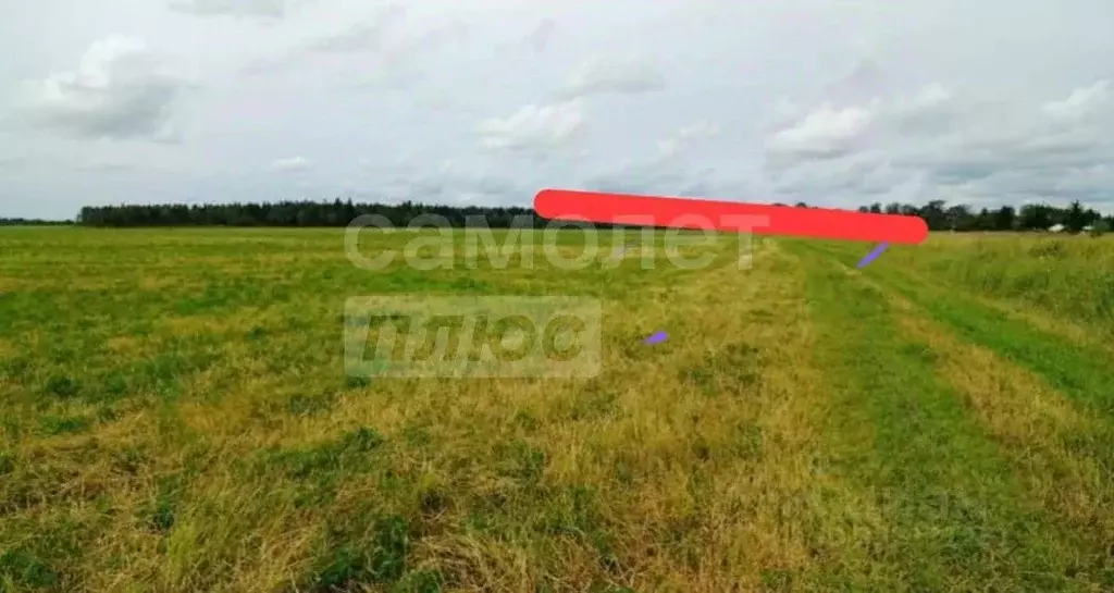 Участок в Крым, Симферопольский район, с. Мирное ул. Ароматная (6.0 ... - Фото 2