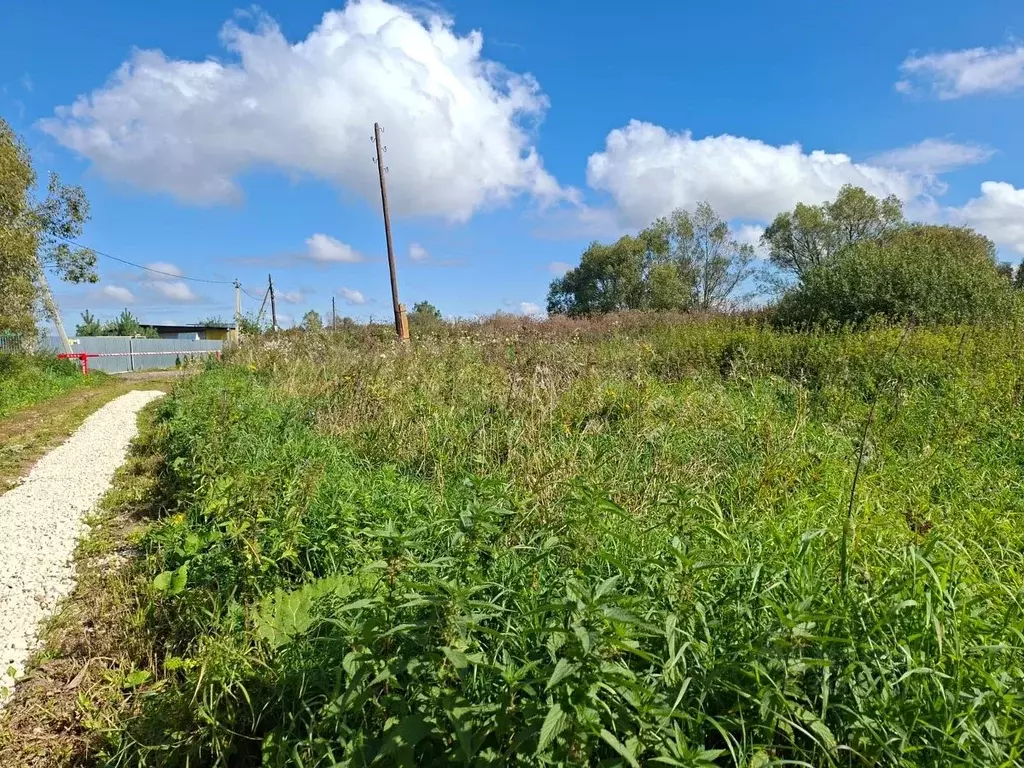 Участок в Тульская область, Веневский муниципальный округ, с. Тюнеж  ... - Фото 1