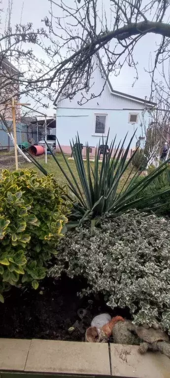 Дом в Краснодарский край, Краснодар Содружество садовое товарищество, ... - Фото 1