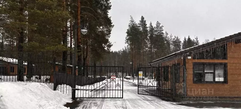 Участок в Ленинградская область, Приозерский район, Раздольевское ... - Фото 1