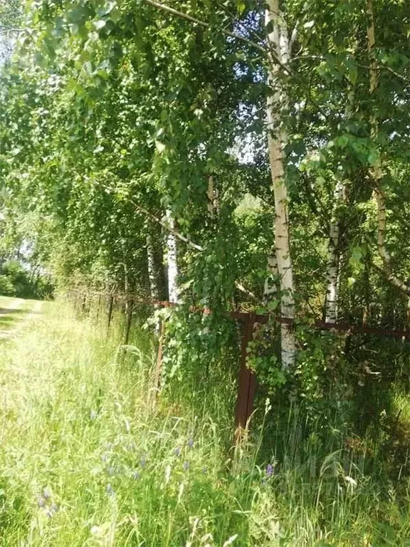 Участок в Московская область, Раменский муниципальный округ, Агрохимик ... - Фото 2