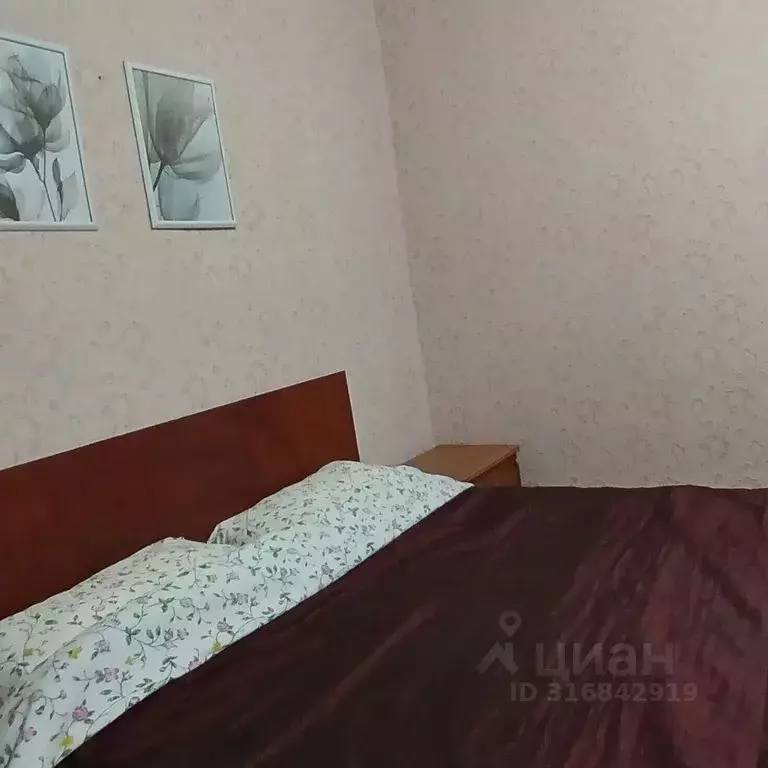 Комната Краснодарский край, Анапа проезд Курортный, 6 - Фото 0