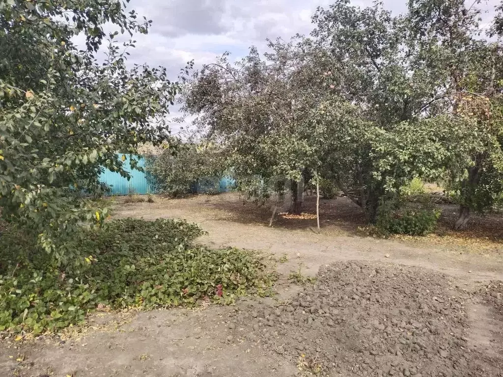 Дом в Саратовская область, Балашовский район, Хоперское муниципальное ... - Фото 2