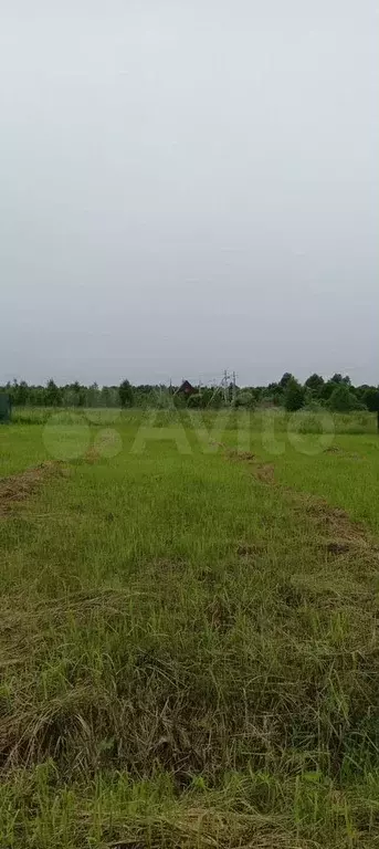 Участок 12 сот. (СНТ, ДНП) - Фото 0
