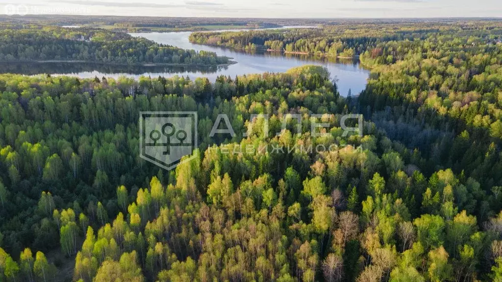Участок в Московская область, Рузский муниципальный округ, ДНТ Озерна ... - Фото 1