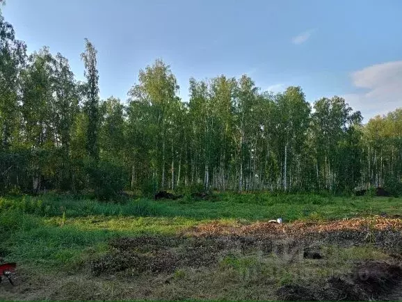 Участок в Челябинская область, Сосновский район, Кременкульское с/пос, ... - Фото 1