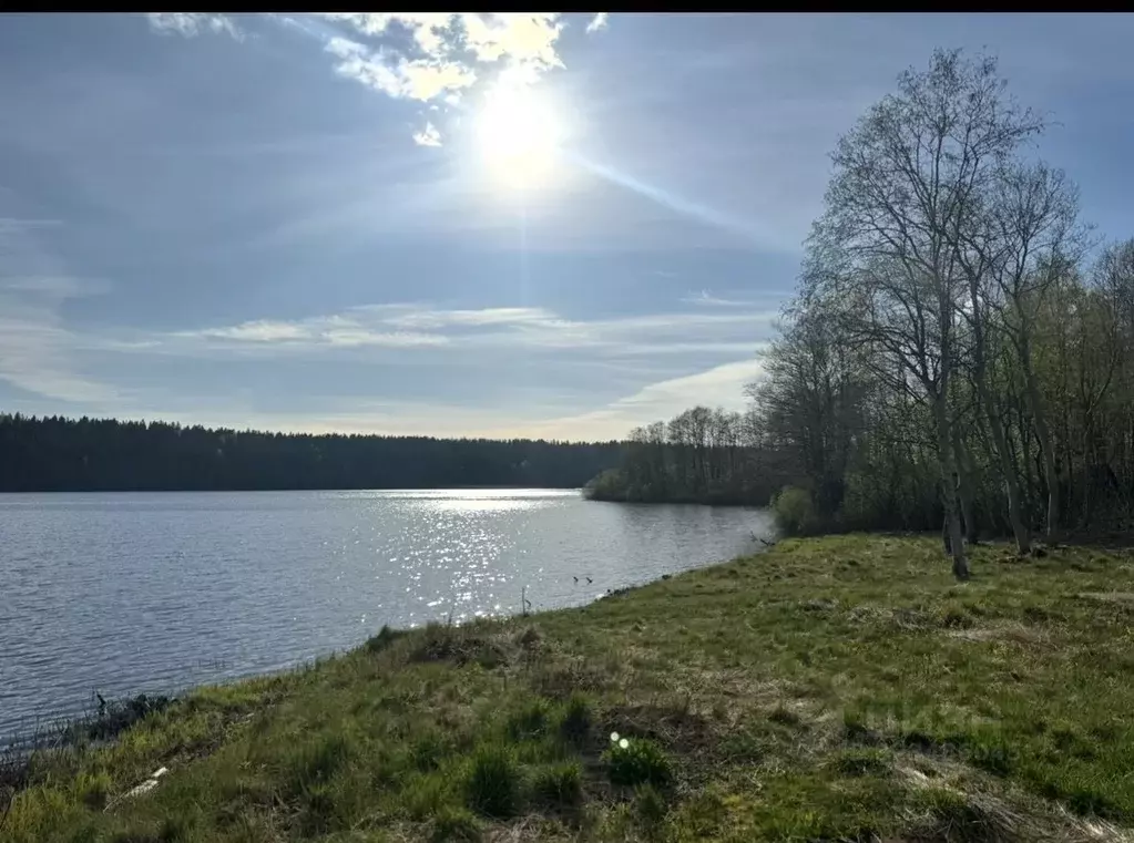 Участок в Ленинградская область, Выборгский район, Полянское с/пос, ... - Фото 2