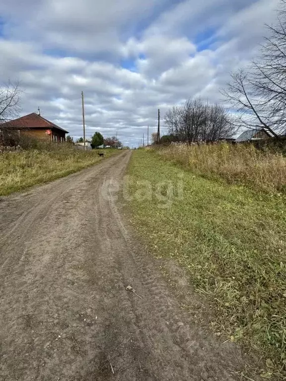 Участок в Томская область, Кожевниковский район, д. Сафроновка ... - Фото 2
