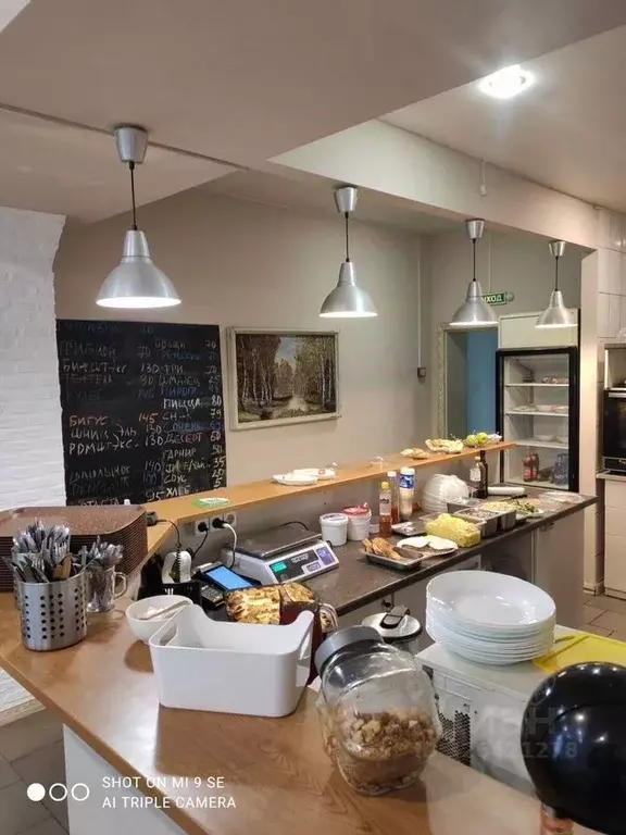 Помещение свободного назначения в Новосибирская область, Новосибирск ... - Фото 1